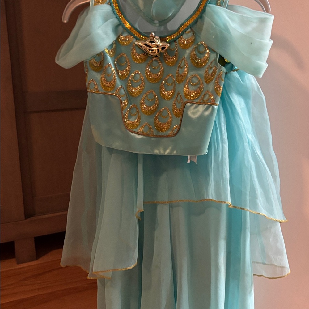 Disney’s Jasmine Teal and Gold Princess Costume